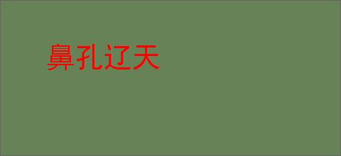 鼻孔辽天