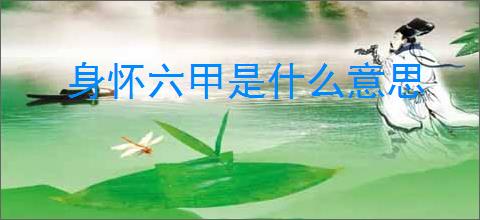 身怀六甲是什么意思