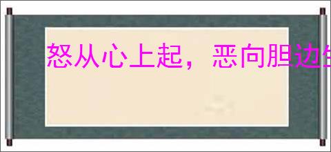 怒从心上起，恶向胆边生