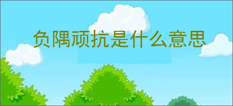 负隅顽抗是什么意思