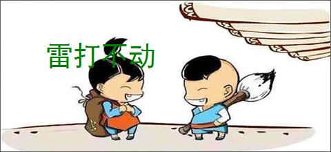 雷打不动