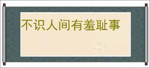 不识人间有羞耻事
