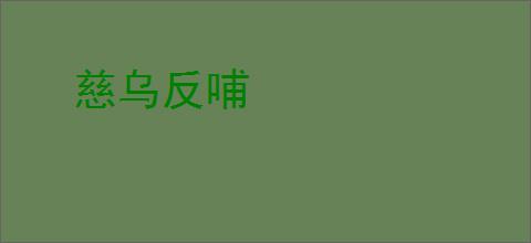 慈乌反哺