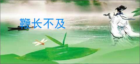 鞭长不及