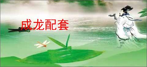 成龙配套