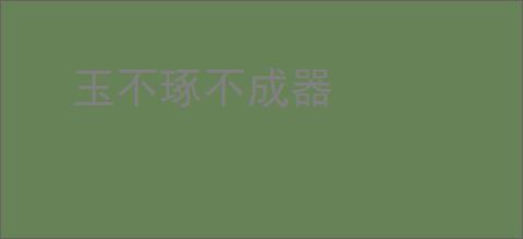 玉不琢不成器