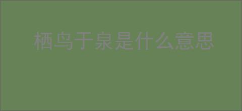 栖鸟于泉是什么意思