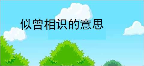 似曾相识的意思