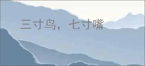 三寸鸟，七寸嘴