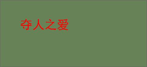 夺人之爱