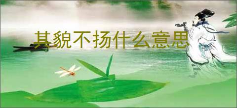 其貌不扬什么意思