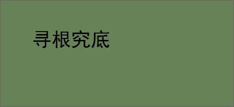 寻根究底
